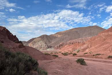 Excursão ao Vale do Arco-Íris + Petróglifos (Yerbas Buenas)