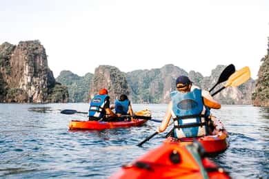 Halong Bay: Day Cruise from Halong Port Shore Excursion