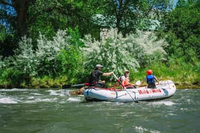 Durango 1/4 Day Rafting Trip - Lower Animas River