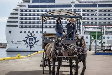 Isola del Principe Edoardo: Tour in carrozza trainata da cavalli