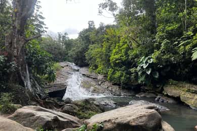 Vandrutsjebane i El Yunque-regnskoven og tur til Luquillo-stranden