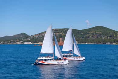 Saint-Raphaël : découverte matinale avec croisière commentée