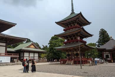 Dall'aeroporto di Narita: Tour privato con scalo o tour guidato in transito