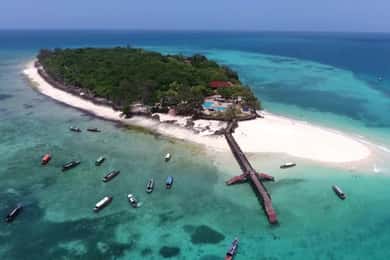 ️ Prison Island & Snorkeling Adventure – Half Day Tour