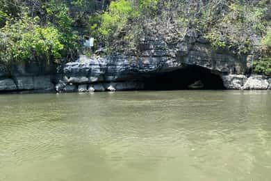 Forfait singe de la mangrove de Langkawi