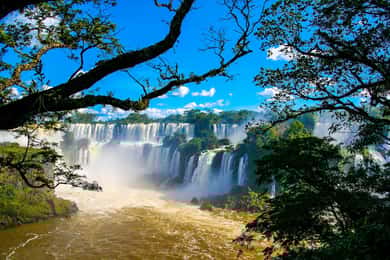 Guided Tour: Brazilian Falls and Exotic Birds at Bird Park