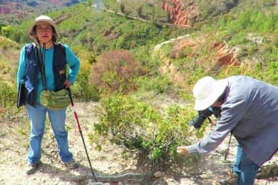 Oaxaca: Geoparque Exploration Tour