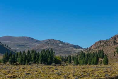 Bariloche: A Day in the Patagonian Steppe