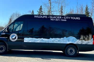 Whittier: Cruise Transit Tour to & from Anchorage