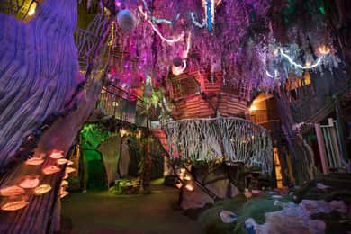 Meow Wolf The House of Eternal Return Ticket