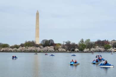 Washington DC: Udlejning af pedalbåde i Tidal Basin