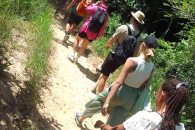 From Diani: Full Day Shimba hills tour with Sheldrick Falls