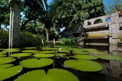 Rio de Janeiro: Burle Marx vezetett túra