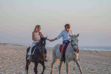From Lisbon: Horseback Riding on Comporta Beach