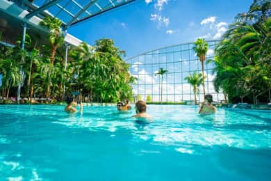 Premium Transfer to THERME from/to Bucharest Downtown area