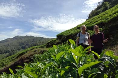 Privé Munnar Thee Trek