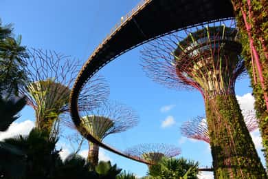 Singapore: Gardens by the Bay Guided Tour/Photography