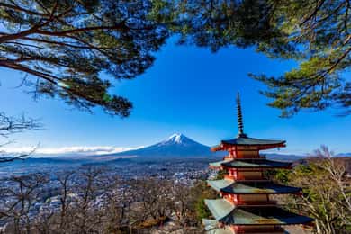 Must-Visit Fuji Highlights One-Day Tour