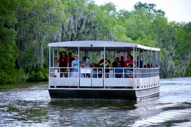 New Orleans: Swamp Tour on Covered Pontoon Boat
