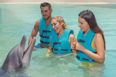 CANCUN: Pływanie z delfinami z bufetem i napojami bezalkoholowymi