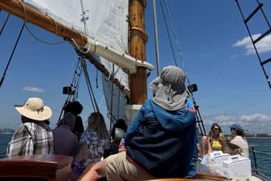Boston: Tall Ship Harbor Sail