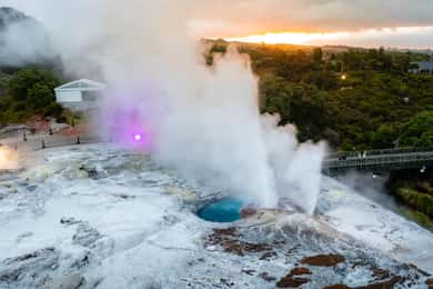 Te Puia: Te Pō Evening Hāngī Buffet and Cultural Experience