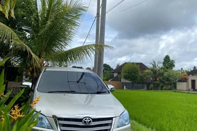 Bali Denpasar airport pick up: Transfer to Hotel in Ubud
