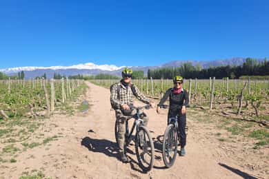 Passeio de bicicleta com vinho e chocolate: passeio, degustação, almoço, vinhedos.