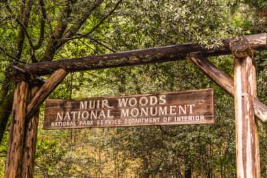 San Francisco Golden Gate Sausalito Muir Woods Private Tour