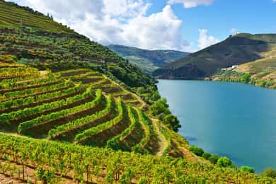 Vale do Douro e Amarante - a partir do Porto, Braga ou Guimarães