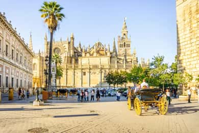 Vanuit Costa del Sol: rondleiding door Sevilla