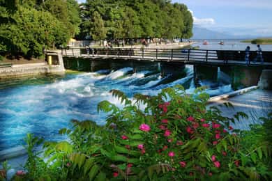 Bytur Struga og Vevchani fra Ohrid og Struga