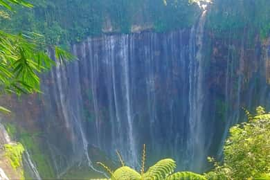 Surabaya of Malang : Bromo, Tumpaksewu waterval in 2 dagen