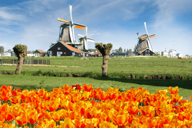 Amsterdam: Keukenhof og Zaanse Schans vindmøller - dagstur