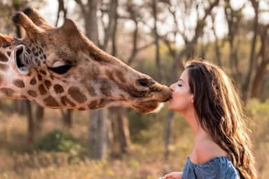 Nairobi: David Sheldrick, Centro della Giraffa e Perline di Kobe