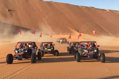 Doha Qatar Buggy ride, camel ride, dune bashing, sandboard.