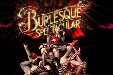 Mirage Wien: Burlesque Spectacular - Dinner Show