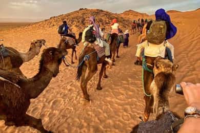 Desierto de Zagora: Expedición por el desierto de 2 días y 1 noche para recordar