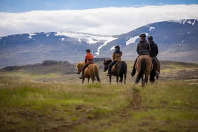 Varmahlid: Excursión a Caballo Vikingo