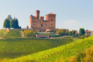 Fra Milano: Langhe vinregion dagsudflugt med Barolo smagning