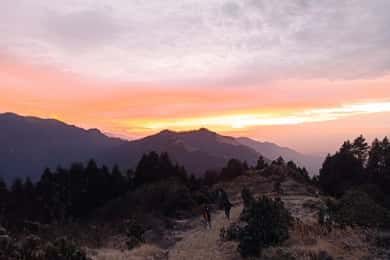 From Pokhara: 4-Day Poon Hill Trek with Transfers