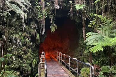 From Hilo: Guided Excursion with Volcanoes National Park
