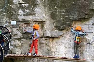 Nice: Tree climbing discovery for kids in a natural setting