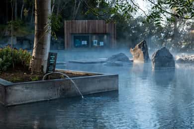 Akureyri: Noorderlichtjacht met toegang tot Forest Lagoon