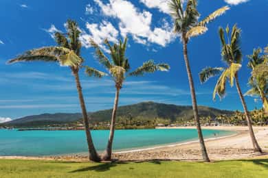 Airlie Beach: Ônibus turístico Hopper com almoço