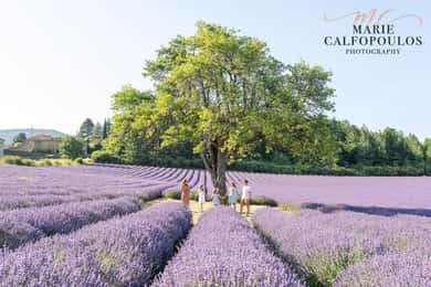 Provence: Privat fotoshoot med en professionel fotograf