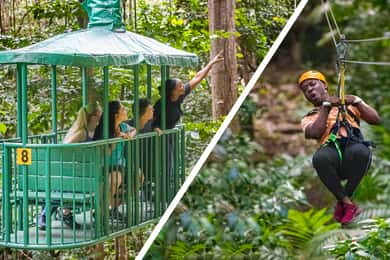 St. Lucia: Adrenaline Zipline Tour at Rainforest Adventures