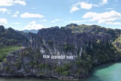 Visite de la mangrove de Langkawi : Estimation de 2 heures Déjeuner disponible
