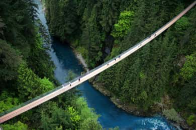 Capilano Suspension Bridge Park Ticket