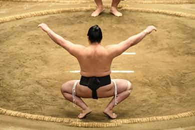 Tokyo: Shinjuku Sumo Show